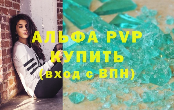 индика Покачи