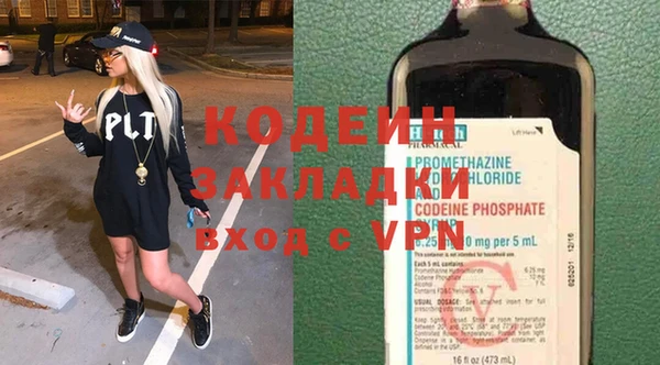 индика Покачи