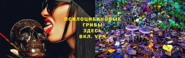 индика Покачи