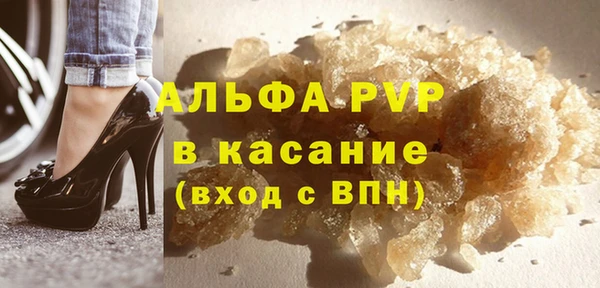 прущие грибы Корсаков