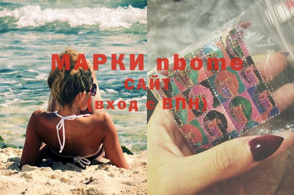 индика Покачи
