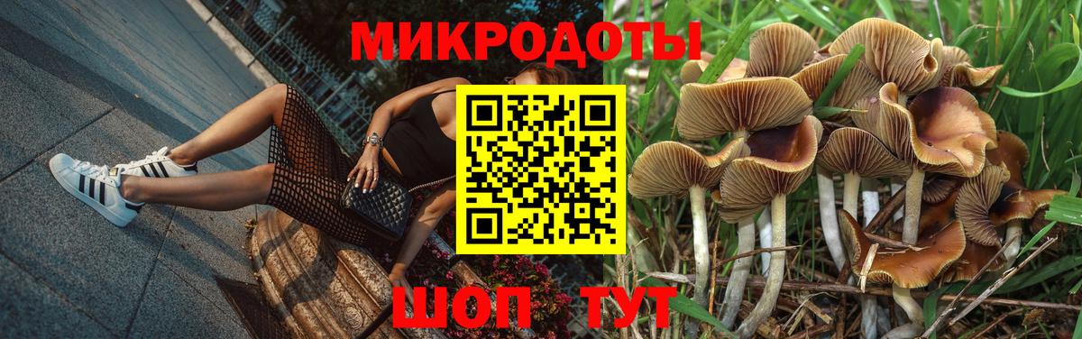 Псилоцибиновые грибы мухоморы Курчатов